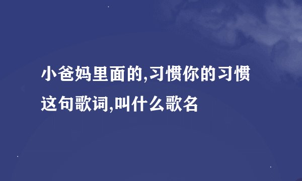 小爸妈里面的,习惯你的习惯这句歌词,叫什么歌名