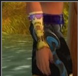 魔兽世界 请问图片左面的肩膀和手套叫什么？