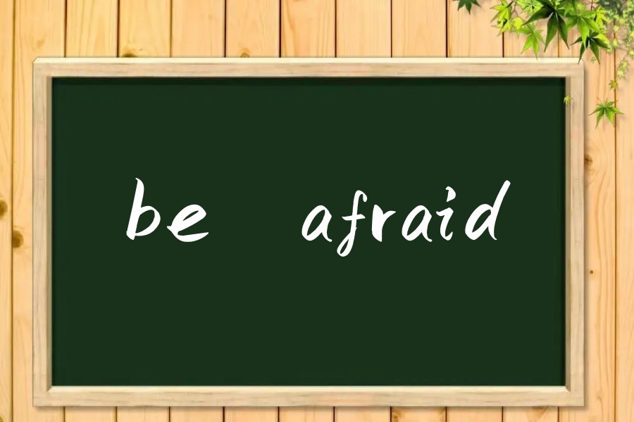 be afraid什么意思