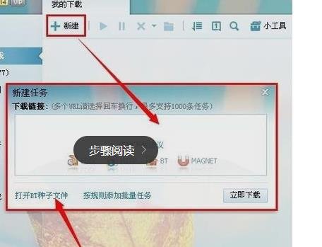 bt种子文件在哪里找？