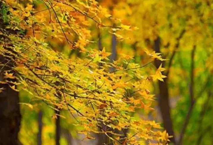 2023立秋是公秋,还是母秋