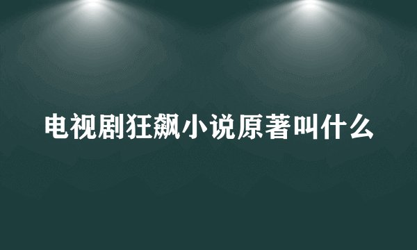 电视剧狂飙小说原著叫什么