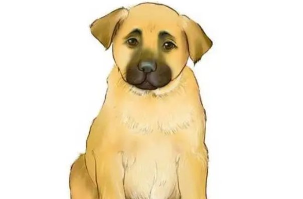 昆山片玉,打一生肖