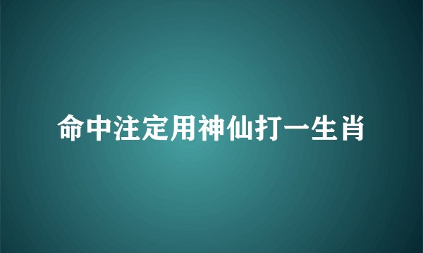 命中注定用神仙打一生肖