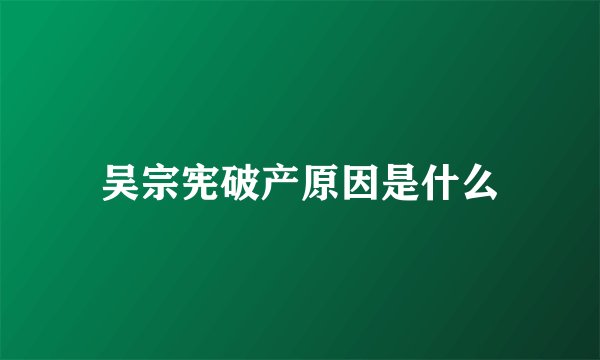 吴宗宪破产原因是什么