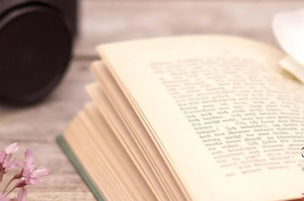 天生丽质近义词