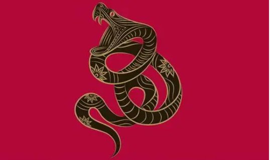 破烂不堪打一动物生肖