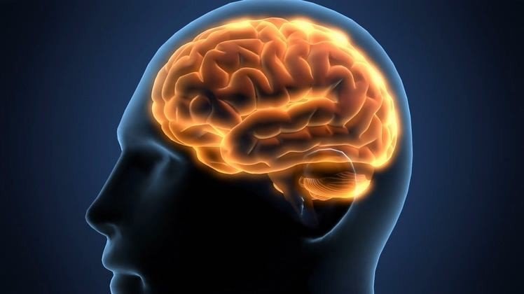 重点支援大西北（打一字）