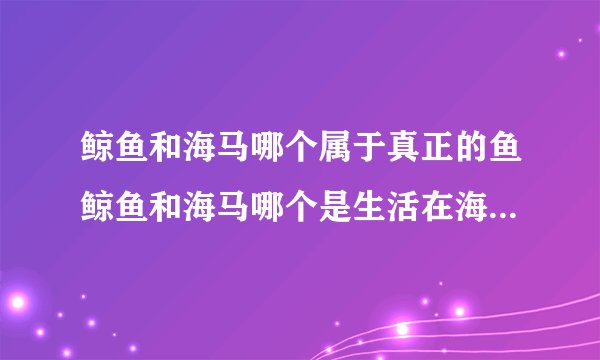 鲸鱼和海马哪个属于真正的鱼鲸鱼和海马哪个是生活在海里真正的鱼