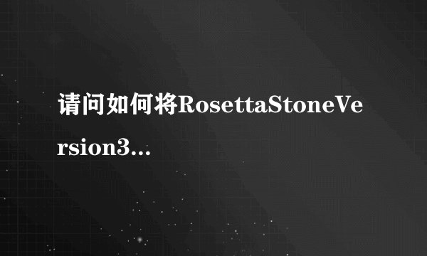 请问如何将RosettaStoneVersion3.exe复制啊？复制到那个文件啊？