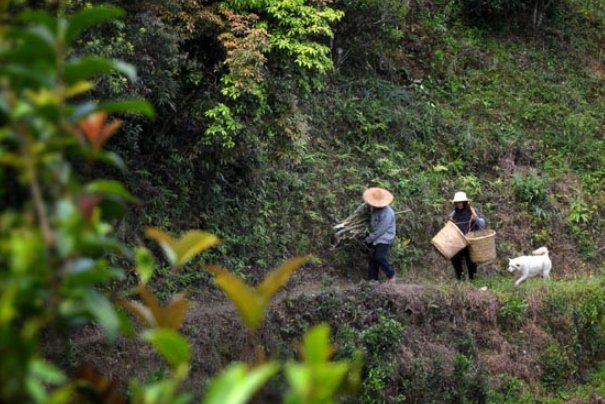 山里造句一年级简单的