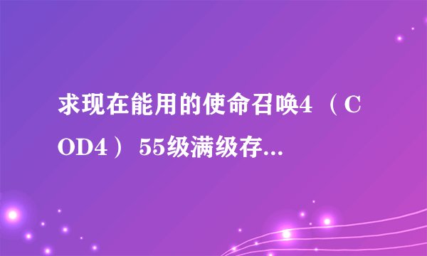 求现在能用的使命召唤4 （COD4） 55级满级存档和使用方法
