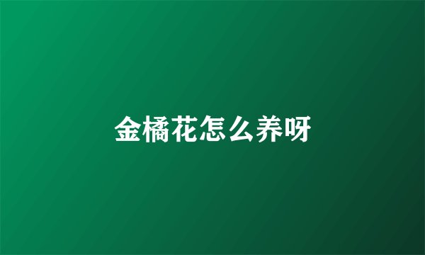 金橘花怎么养呀