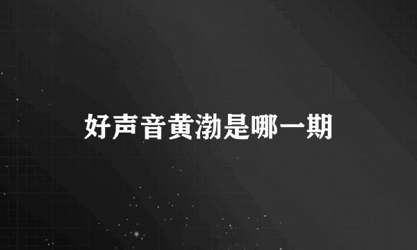 好声音黄渤是哪一期