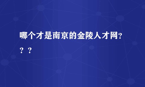 哪个才是南京的金陵人才网？？？