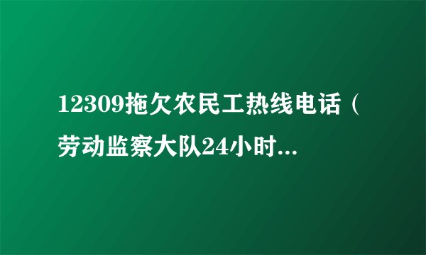12309拖欠农民工热线电话（劳动监察大队24小时在线咨询）