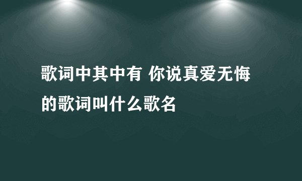 歌词中其中有 你说真爱无悔 的歌词叫什么歌名