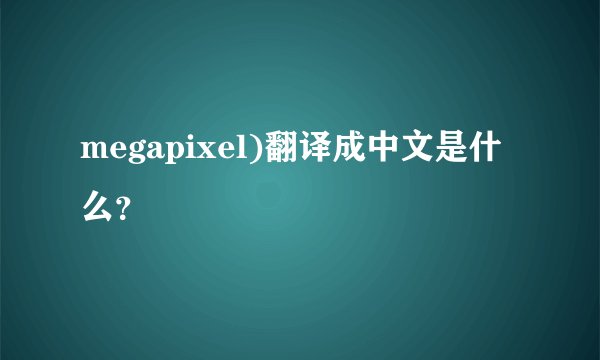 megapixel)翻译成中文是什么？