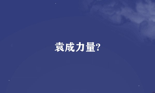 袁成力量?
