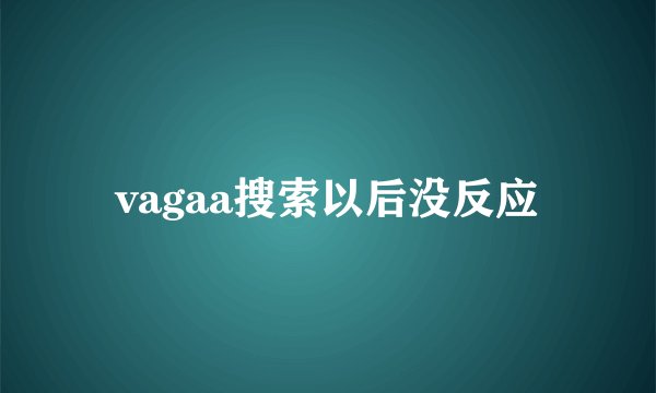 vagaa搜索以后没反应