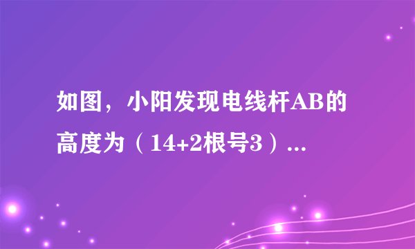 如图，小阳发现电线杆AB的高度为（14+2根号3）米，它的影子落在土坡的坡面CD和地面BC上