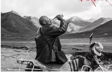 徐锦江演过一部关于蛇的一部电影