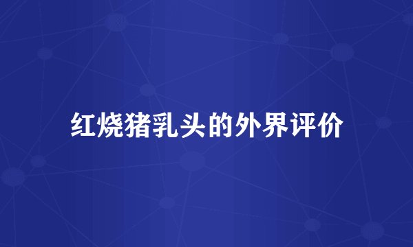 红烧猪乳头的外界评价