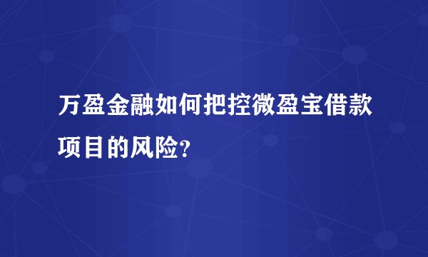 万盈金融如何把控微盈宝借款项目的风险？