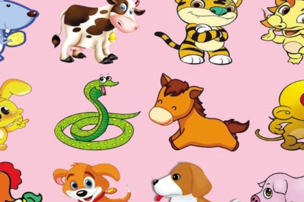 怕三怕四是什么意思打一生肖