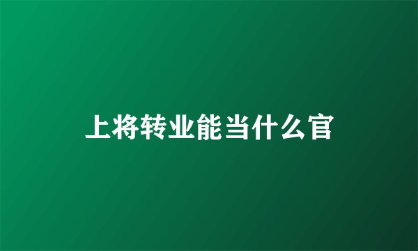 上将转业能当什么官