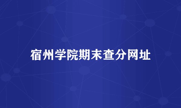 宿州学院期末查分网址