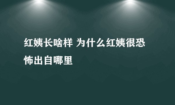 红姨长啥样 为什么红姨很恐怖出自哪里