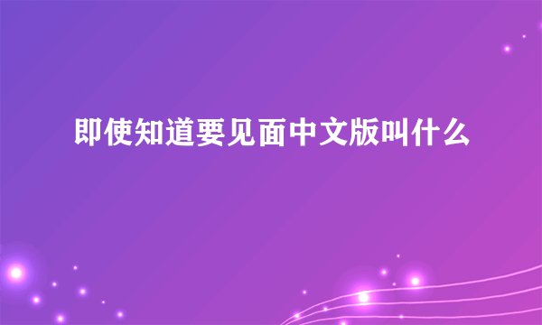 即使知道要见面中文版叫什么
