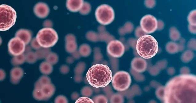 癌胚抗原到底是什么意思？指标一般是多少呢？