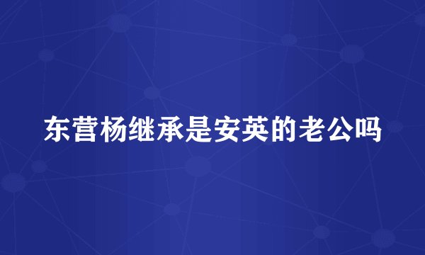 东营杨继承是安英的老公吗