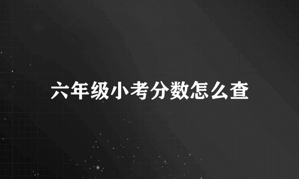 六年级小考分数怎么查