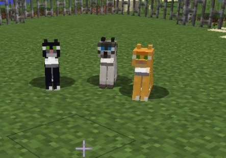 我的世界猫吃什么