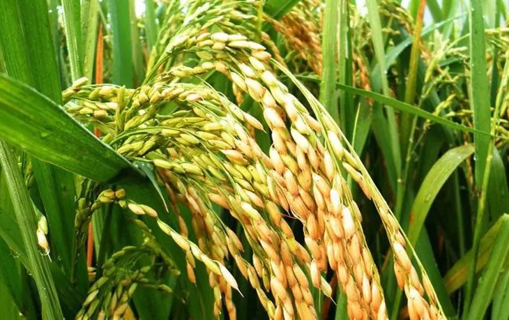 “280”是什么意思?