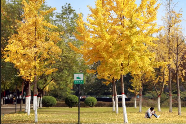 千差万别的意思