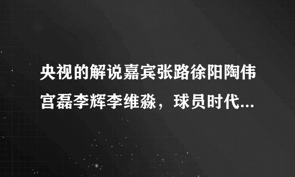 央视的解说嘉宾张路徐阳陶伟宫磊李辉李维淼，球员时代最成功的是谁？他们都是北京人吗？
