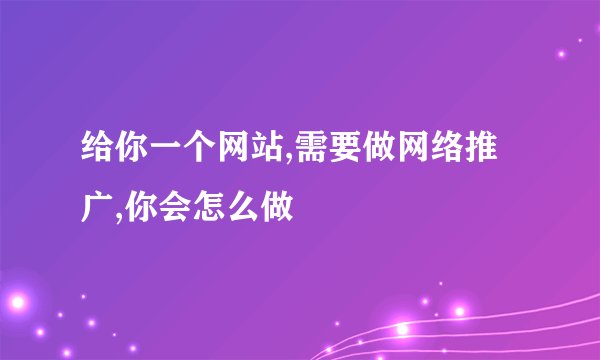 给你一个网站,需要做网络推广,你会怎么做