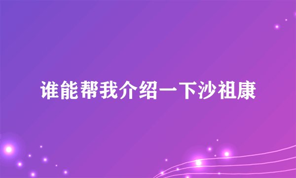 谁能帮我介绍一下沙祖康