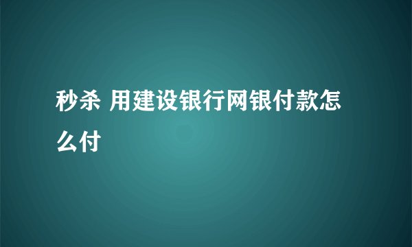 秒杀 用建设银行网银付款怎么付