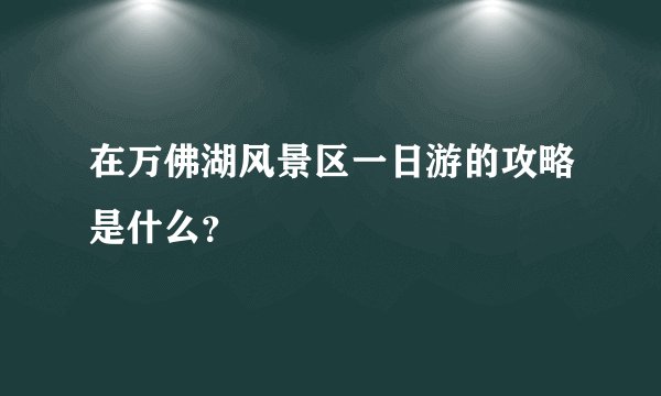 在万佛湖风景区一日游的攻略是什么？