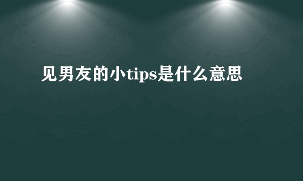 见男友的小tips是什么意思