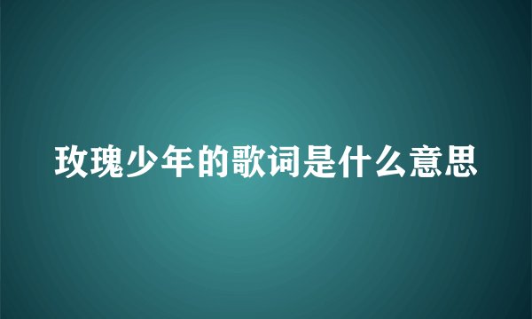 玫瑰少年的歌词是什么意思