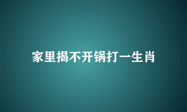 家里揭不开锅打一生肖