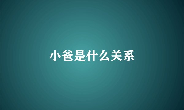小爸是什么关系