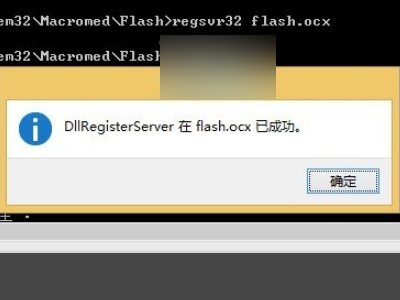 如何重新安装带这个flash.ocx的程序？