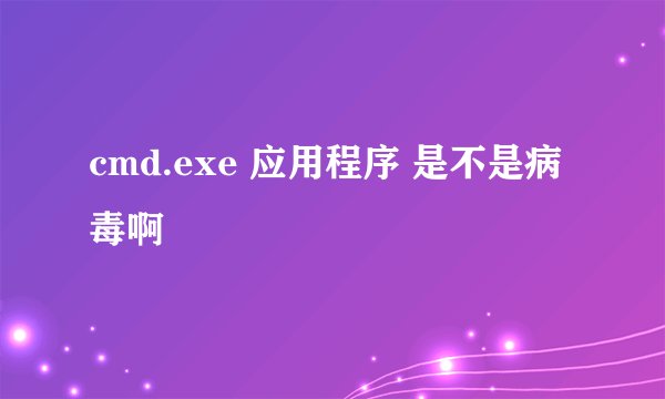 cmd.exe 应用程序 是不是病毒啊